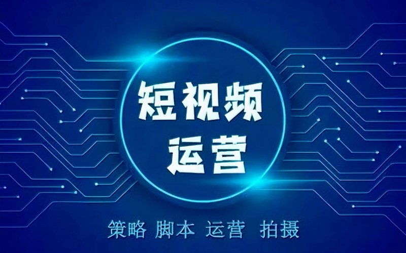 如何选择最适合自己的系统定制方案？这并不是一个简单的问题。